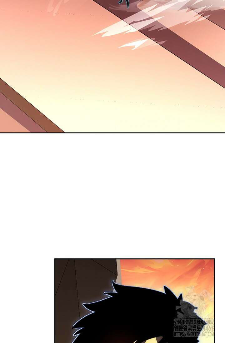 전설 헌터로 키워지는 중입니다 248화 48