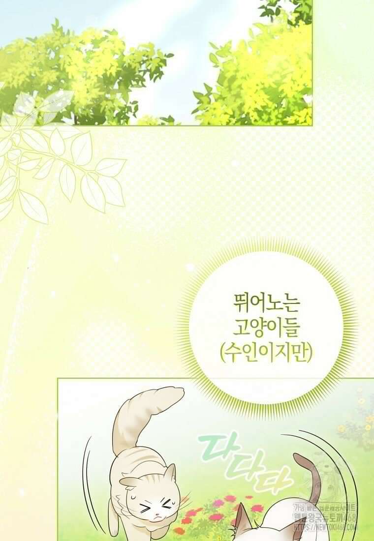 악역에 빙의했지만, 고양이나 키울래요 45화 4