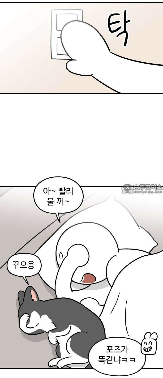 노곤하개 쇼츠 새로 산 바지 9