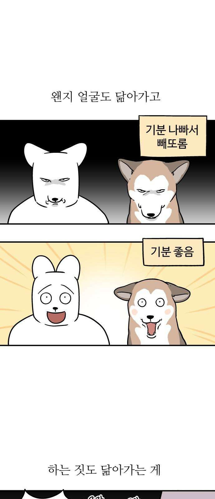 노곤하개 쇼츠 새로 산 바지 10