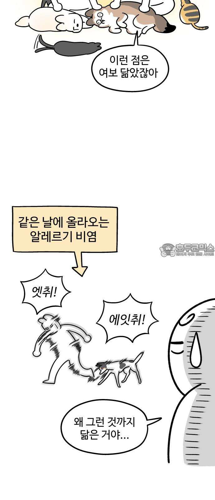 노곤하개 쇼츠 새로 산 바지 12