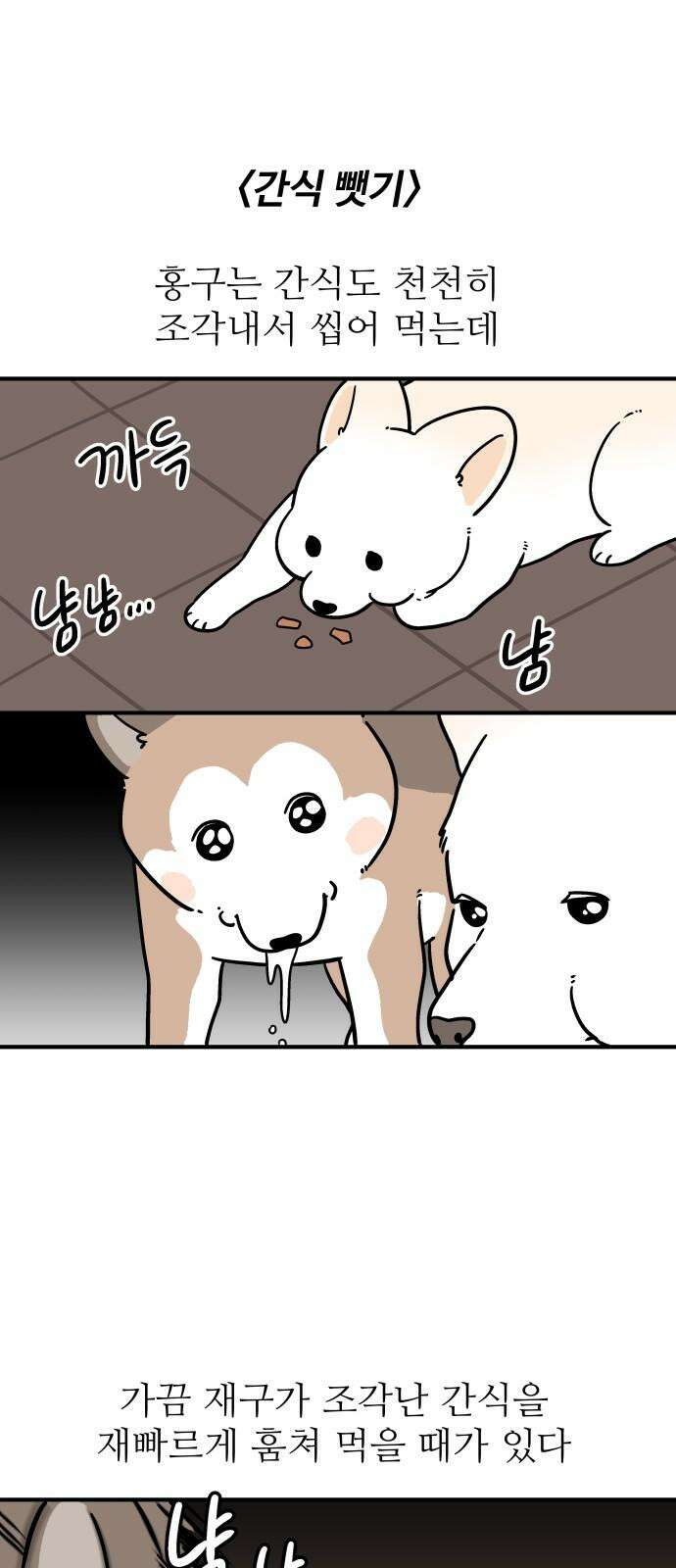 노곤하개 쇼츠 새로 산 바지 13