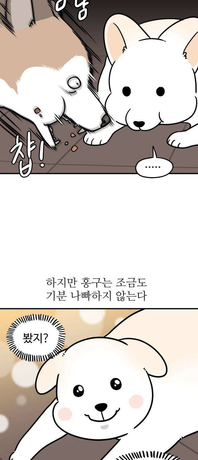 노곤하개 쇼츠 새로 산 바지 14