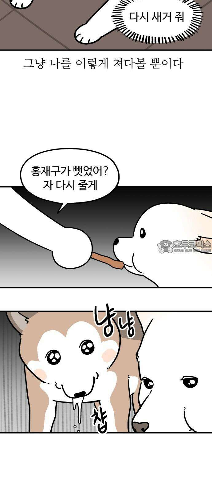 노곤하개 쇼츠 새로 산 바지 15