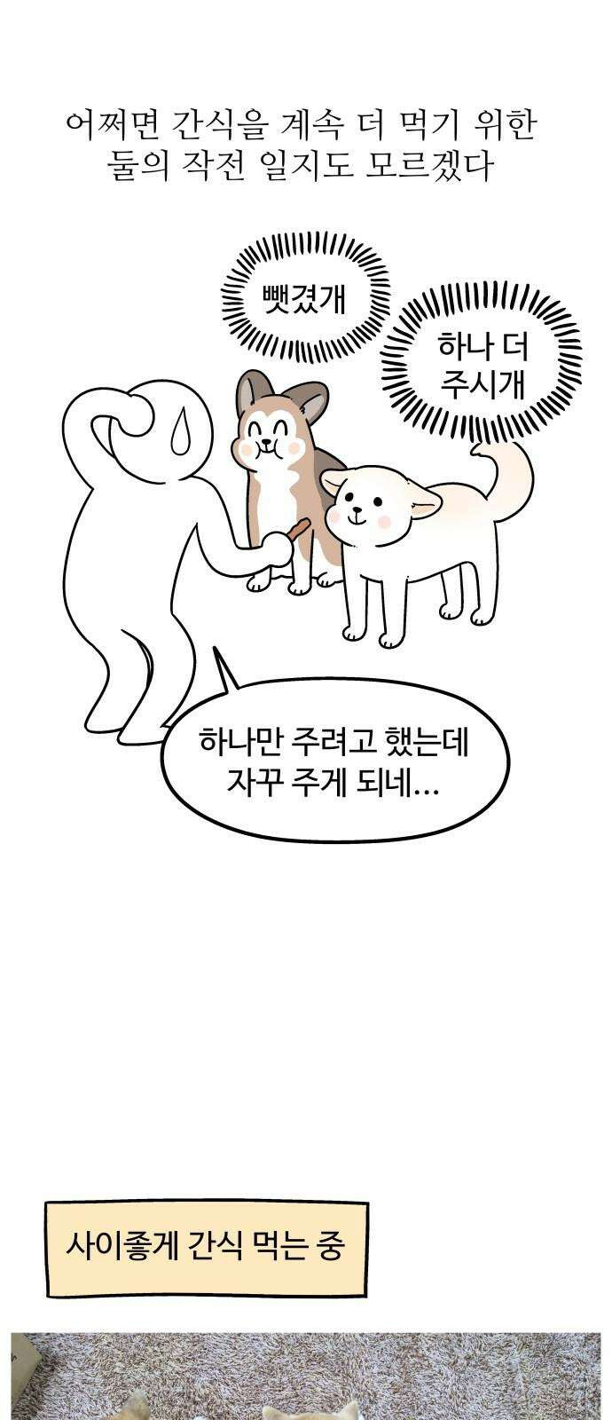 노곤하개 쇼츠 새로 산 바지 16