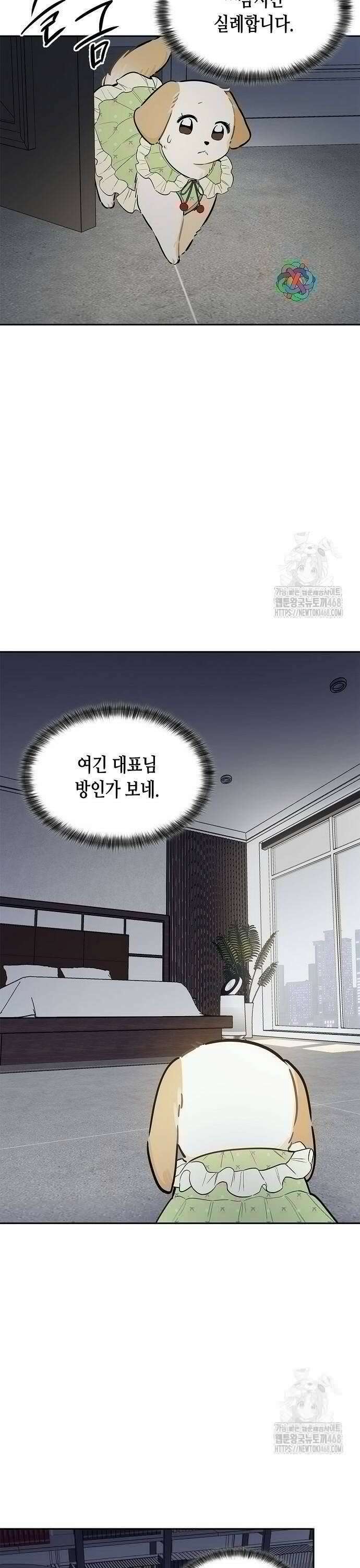 대표님의 개가 되겠습니다 10화 7