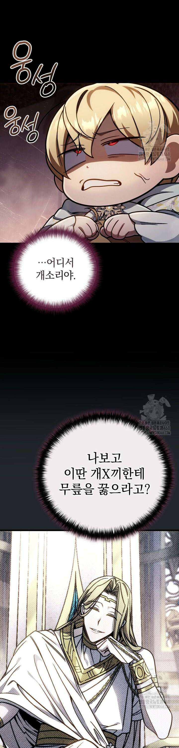 이 나라를 없앨 예정인데요 17화 7