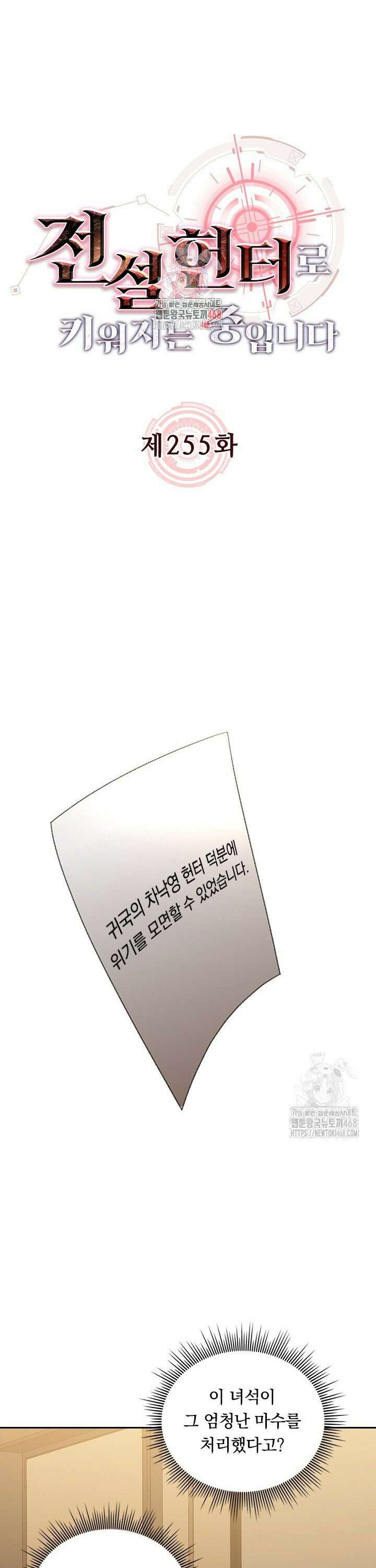 전설 헌터로 키워지는 중입니다 255화 1
