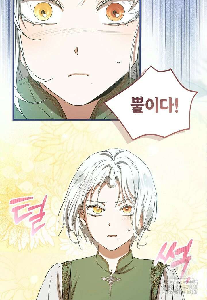 피오니-살인귀 대공과의 미래를 보았다 56화 2