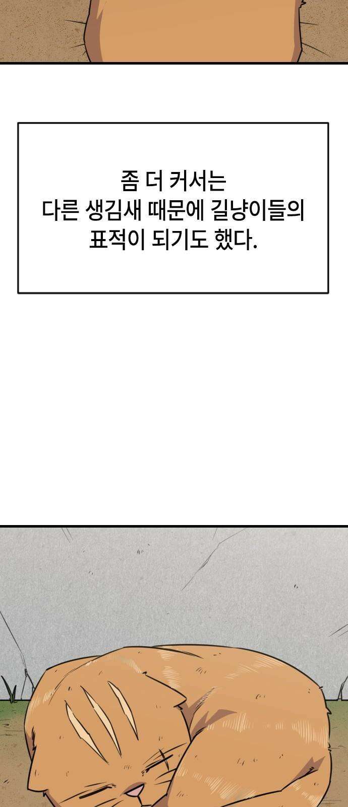 천재 곰먐미 김순자 29화 - 길냥대전 4