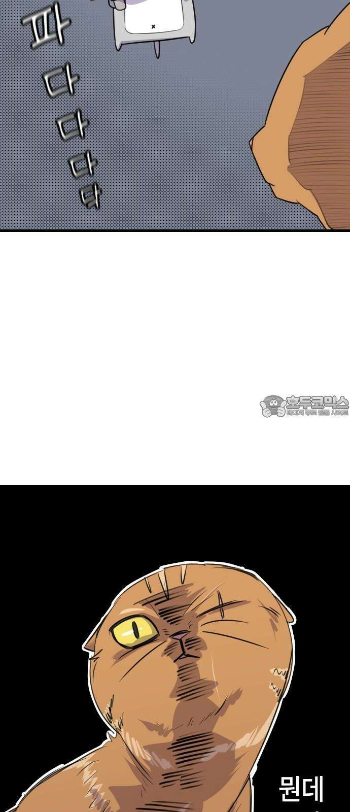 천재 곰먐미 김순자 29화 - 길냥대전 30