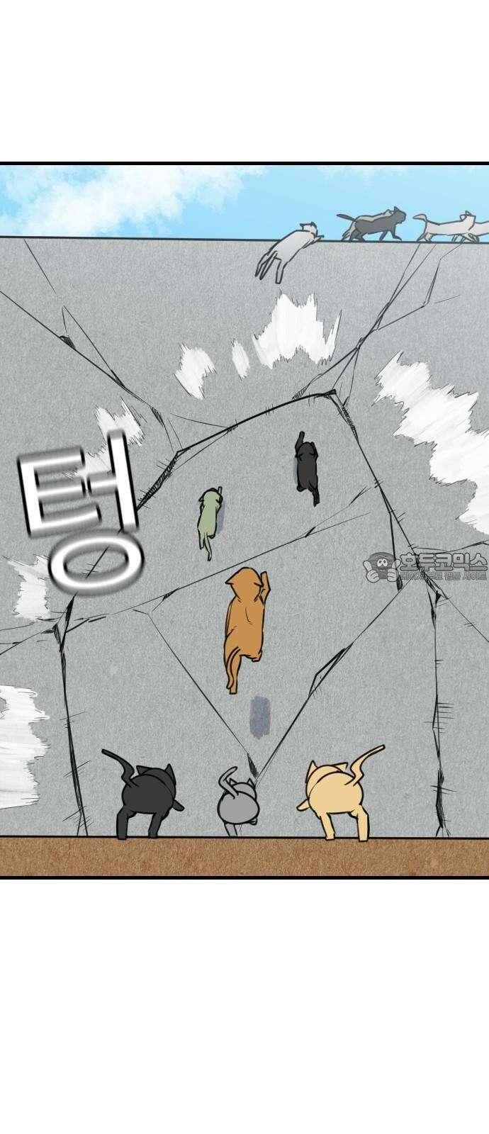 천재 곰먐미 김순자 29화 - 길냥대전 36