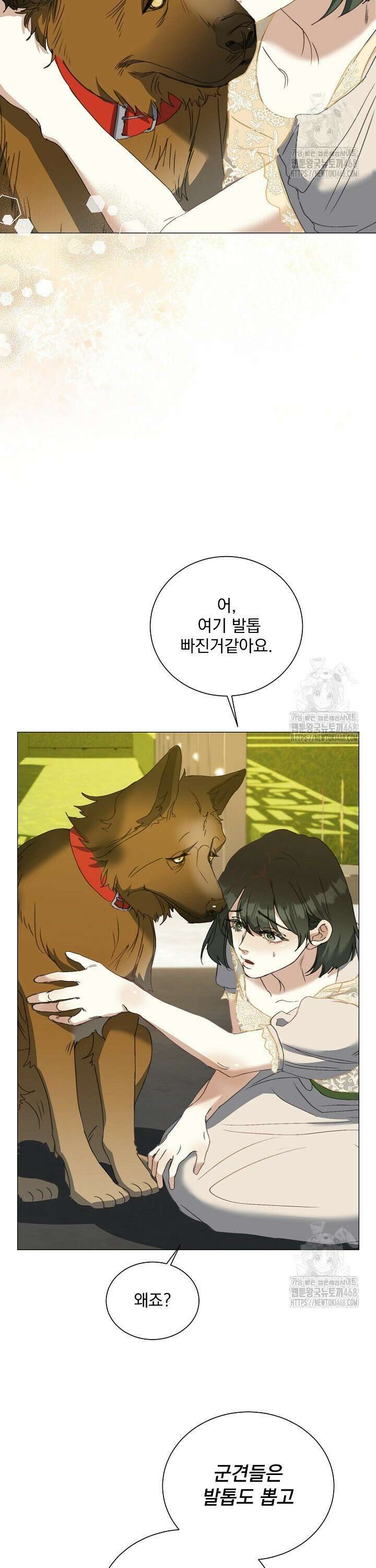 미친 공작에게 납치당했다 62화 16
