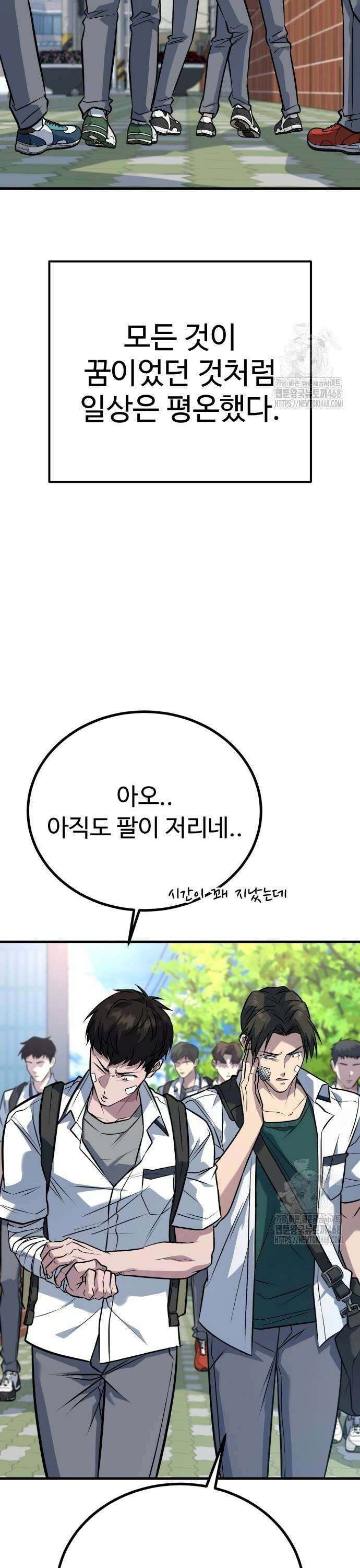 폭력의 왕 45화 13