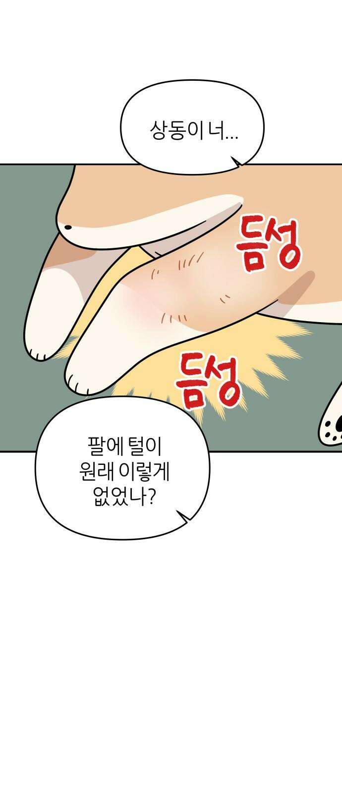 시바, 만만치 않다 32화 상동이의 피부 -시작- 4