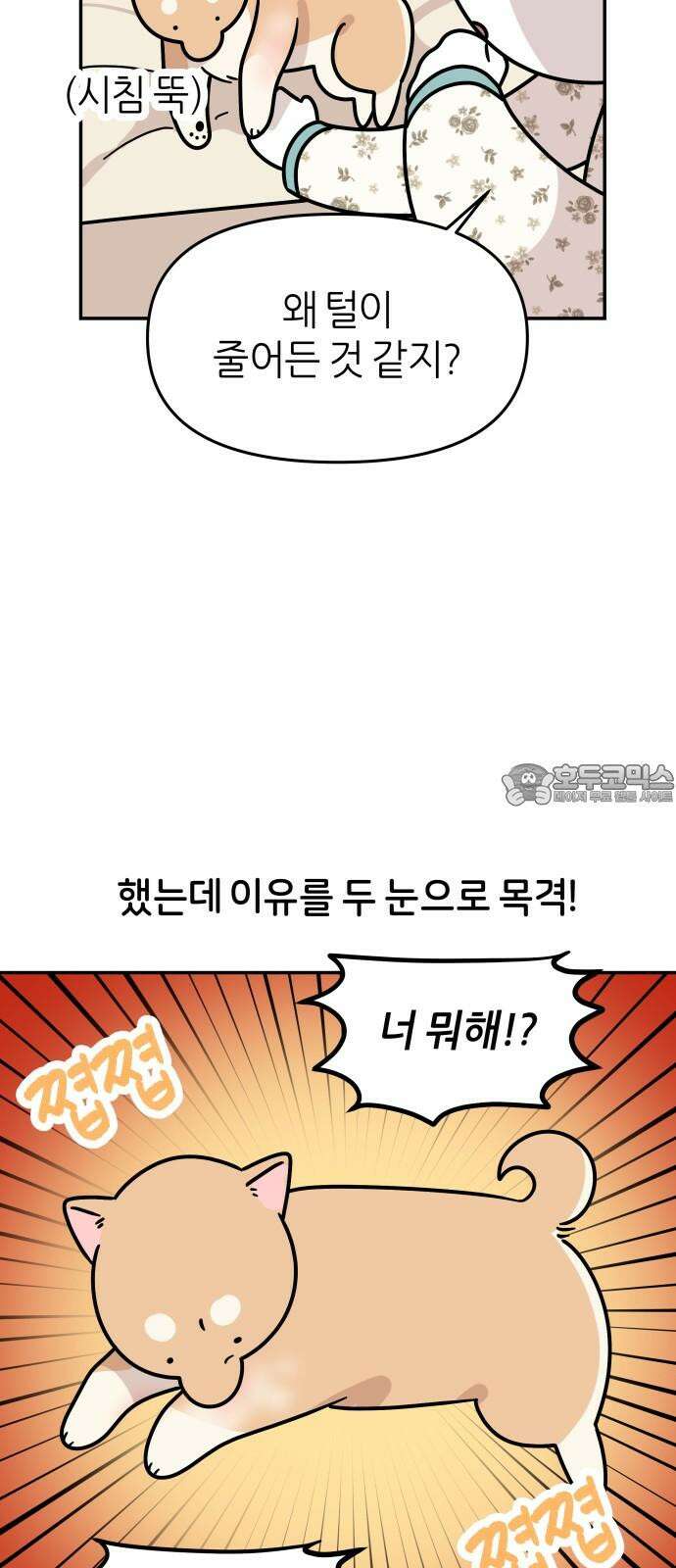 시바, 만만치 않다 32화 상동이의 피부 -시작- 6