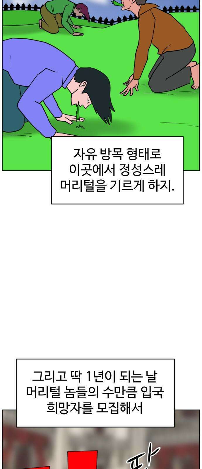언덕 위의 제임스 472화 대머리 공화국 (7)완 17