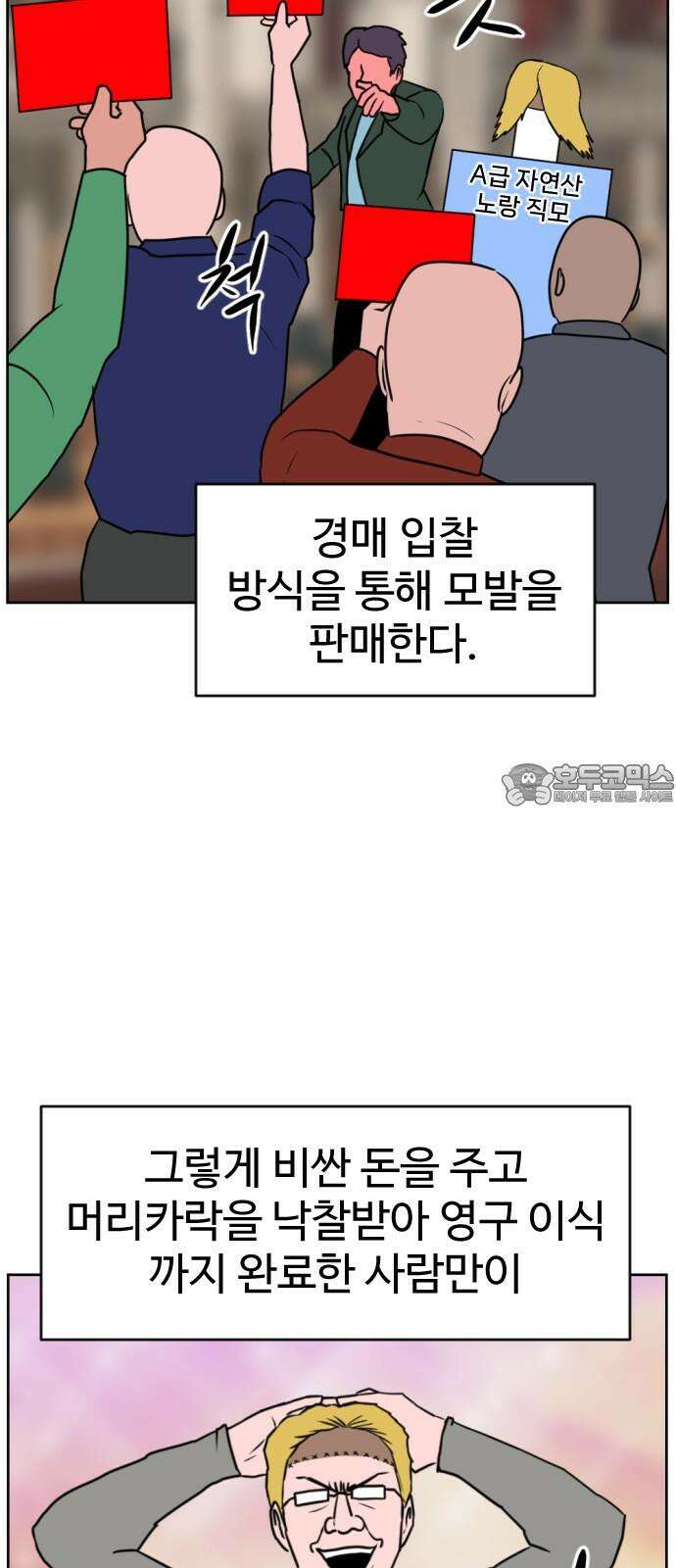 언덕 위의 제임스 472화 대머리 공화국 (7)완 18