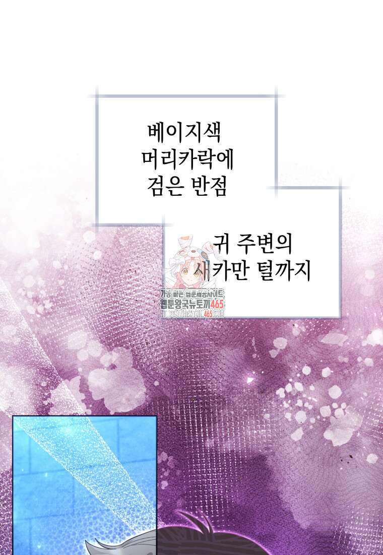 흑막 범고래 아기님 42화 1