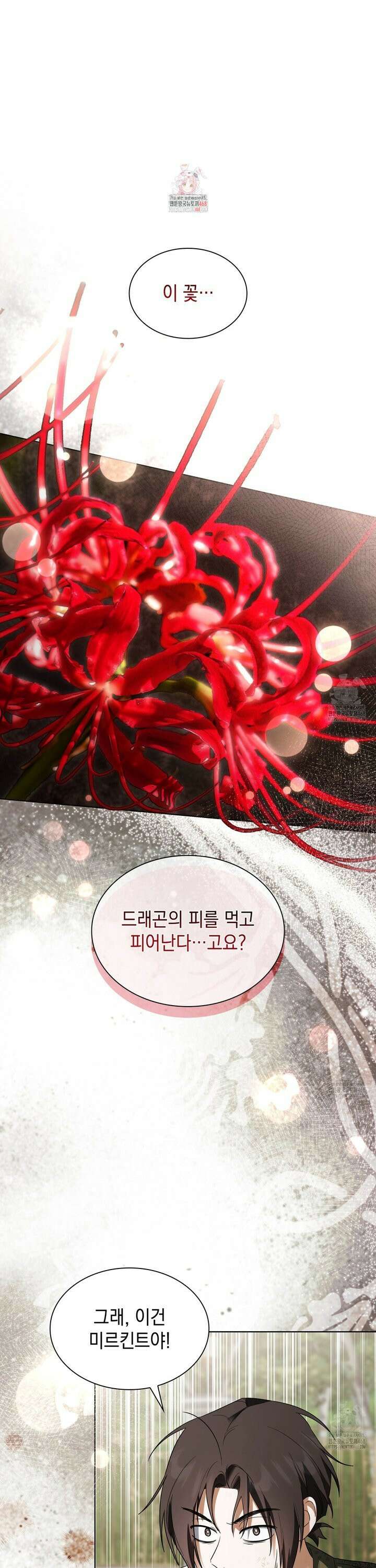 같이가용 47화 1