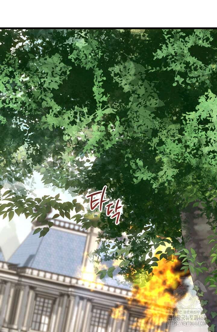 이 나라를 없앨 예정인데요 25화 2