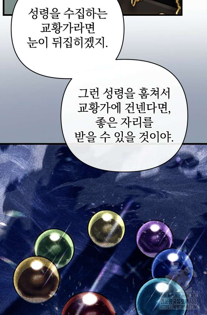 이 나라를 없앨 예정인데요 25화 11