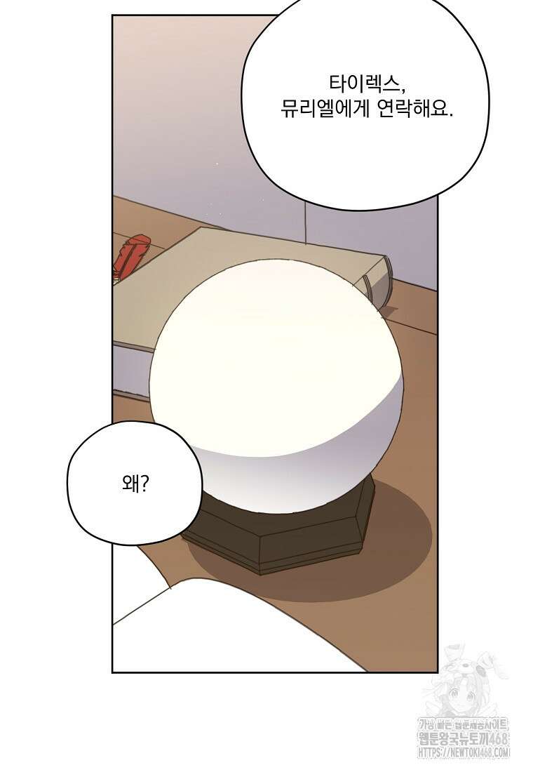 치트라 233화 6