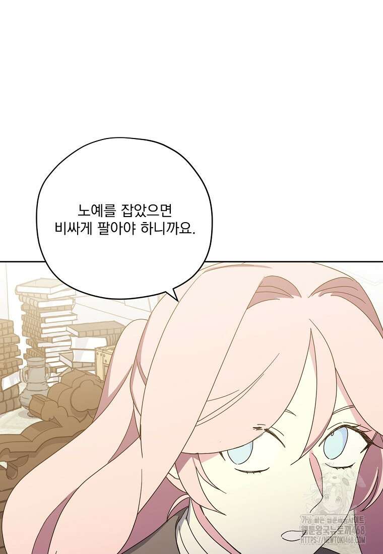 치트라 233화 7