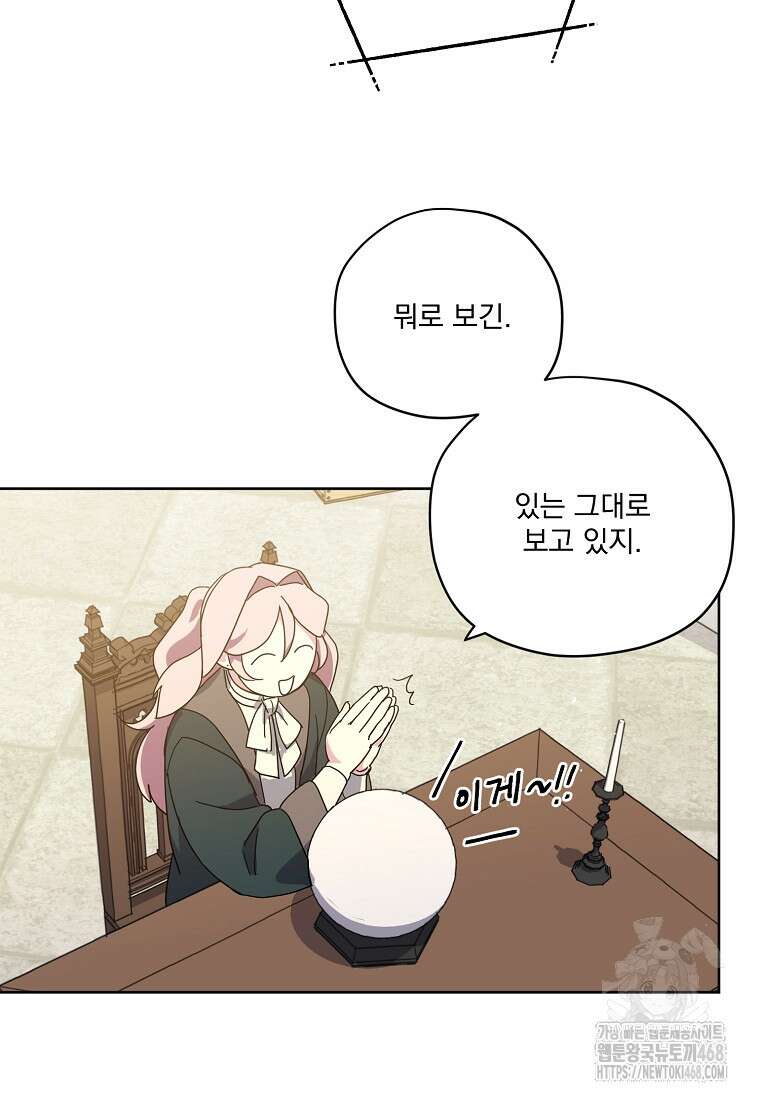 치트라 233화 11