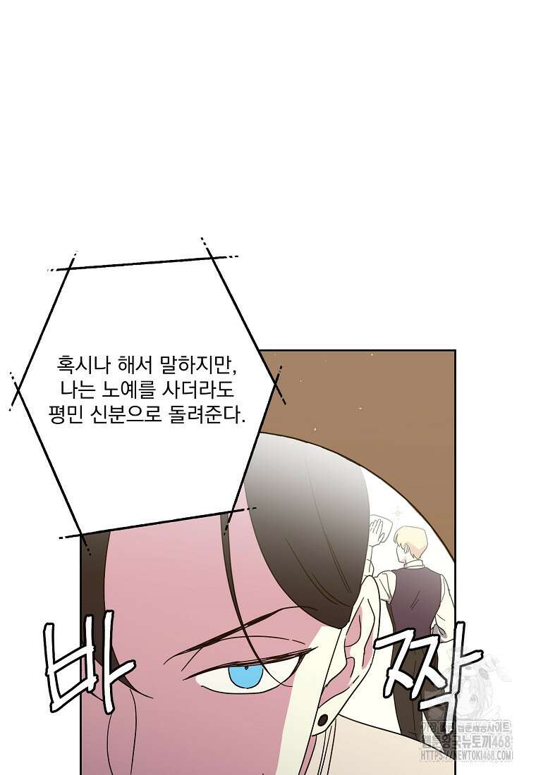 치트라 233화 13