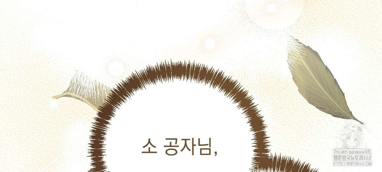 동백꽃 31화 78