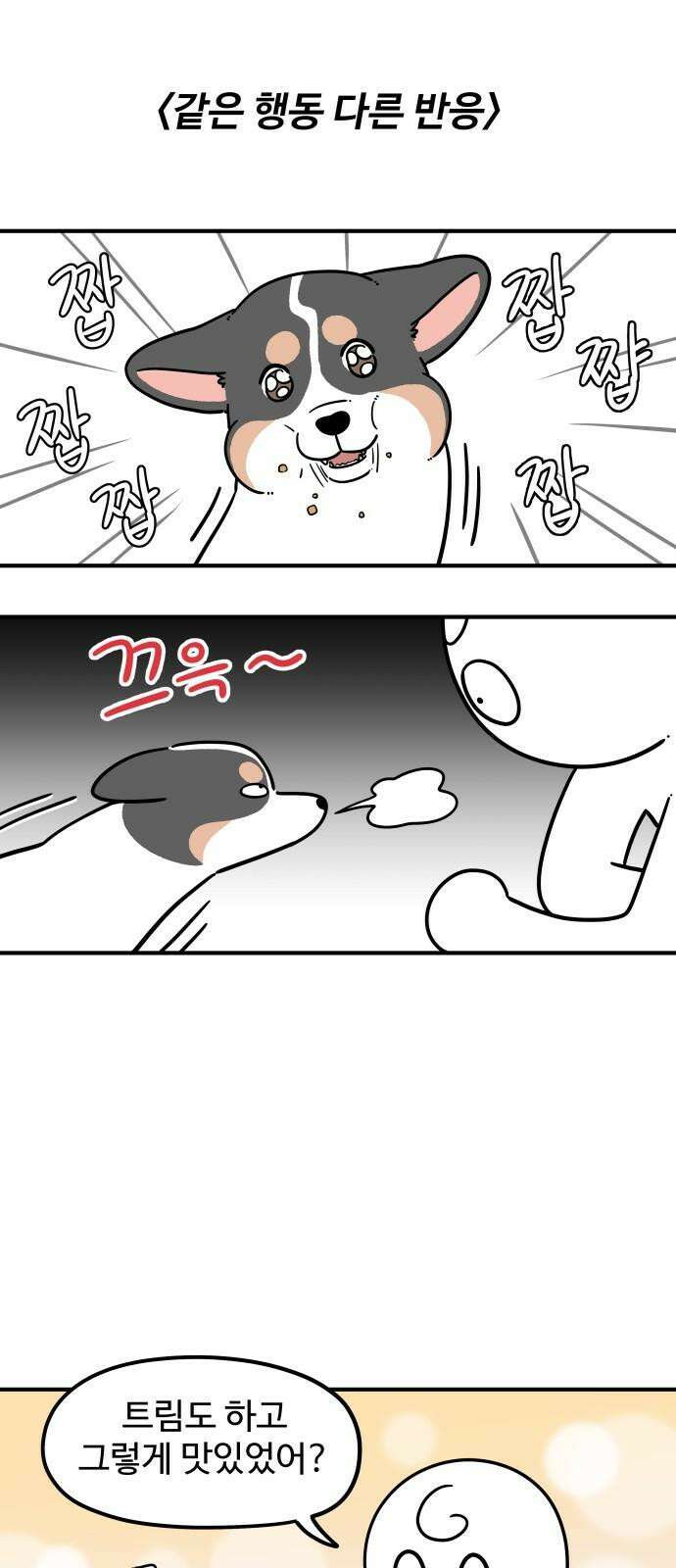 노곤하개 쇼츠 같은 행동 다른 반응 2
