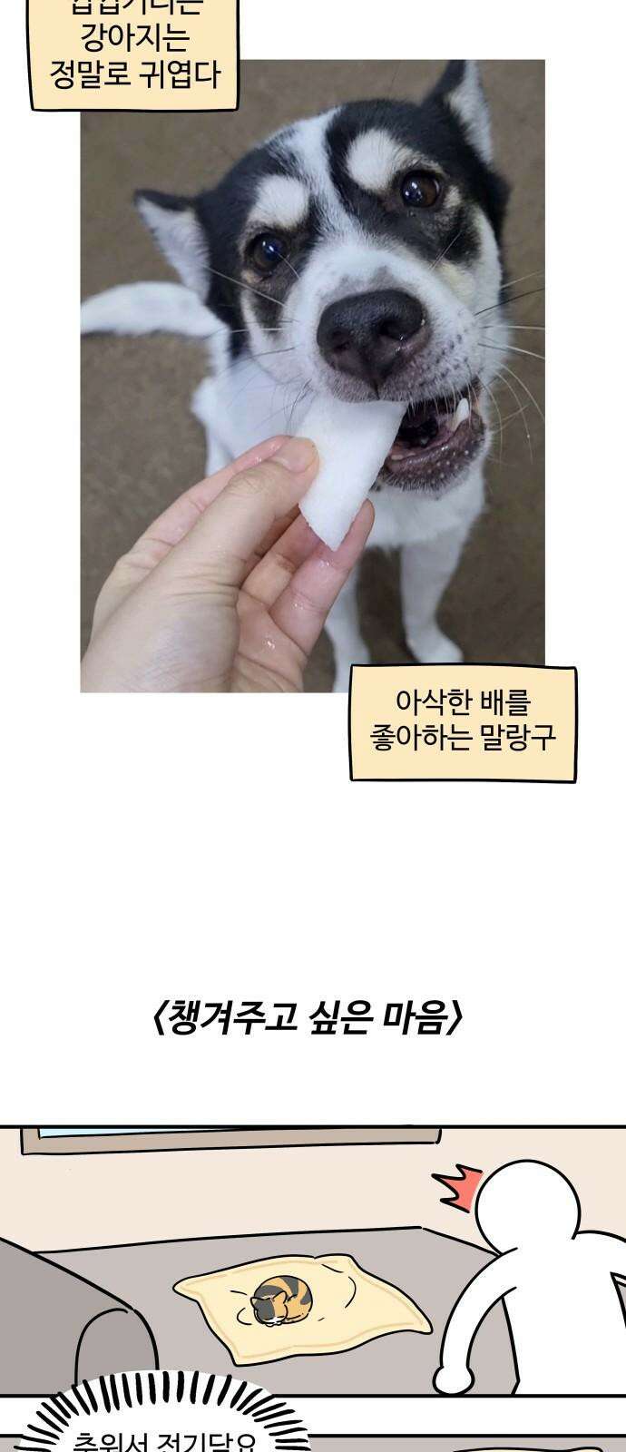 노곤하개 쇼츠 같은 행동 다른 반응 8