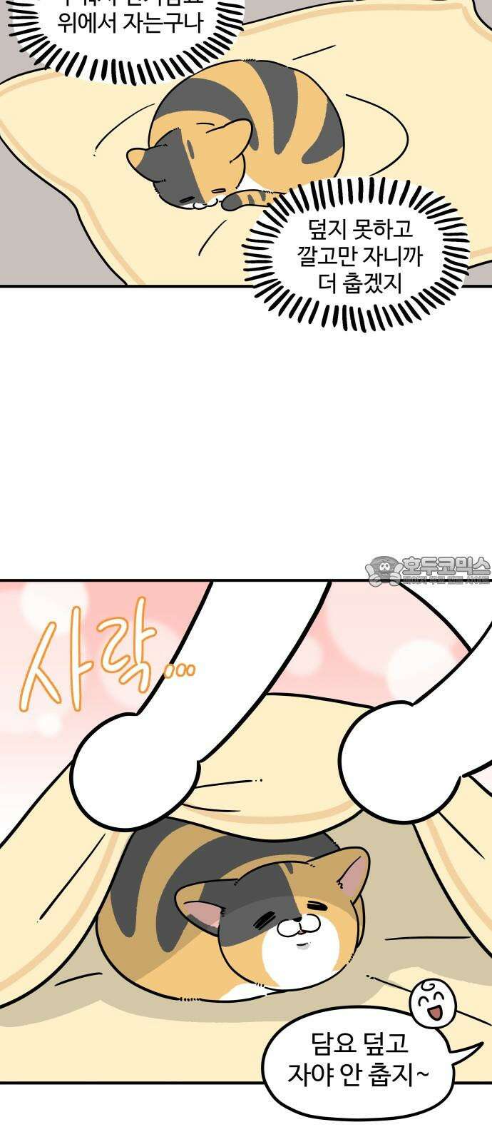 노곤하개 쇼츠 같은 행동 다른 반응 9