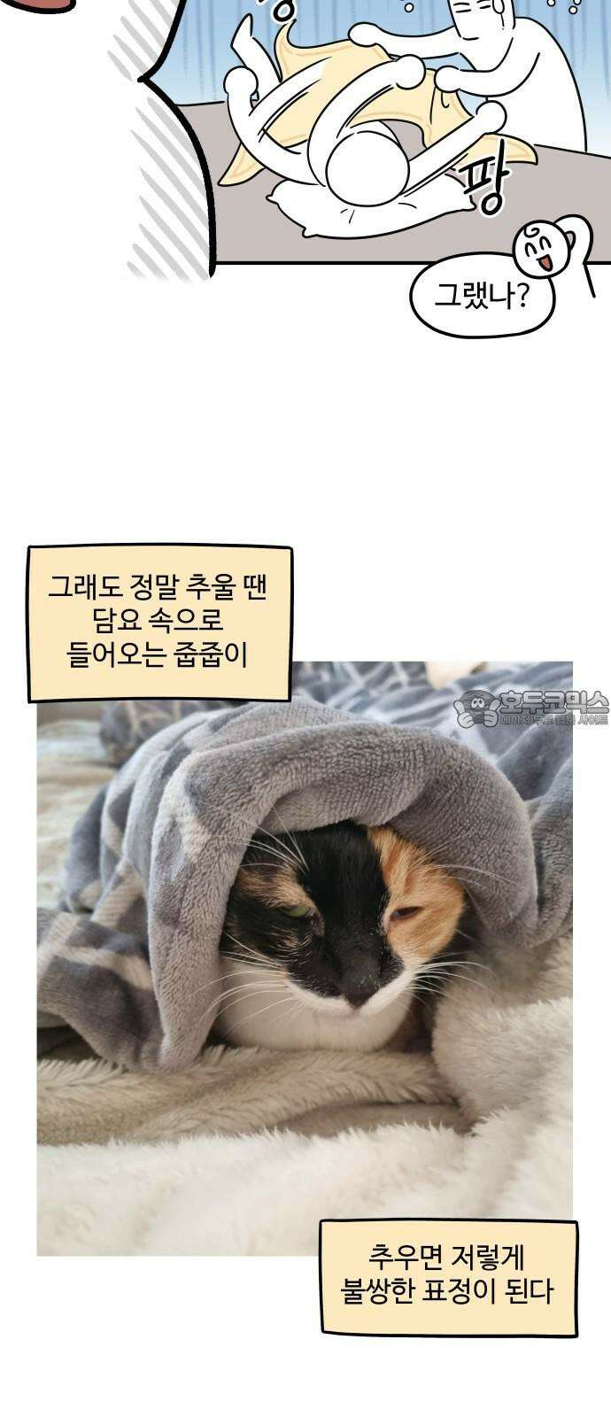 노곤하개 쇼츠 같은 행동 다른 반응 12