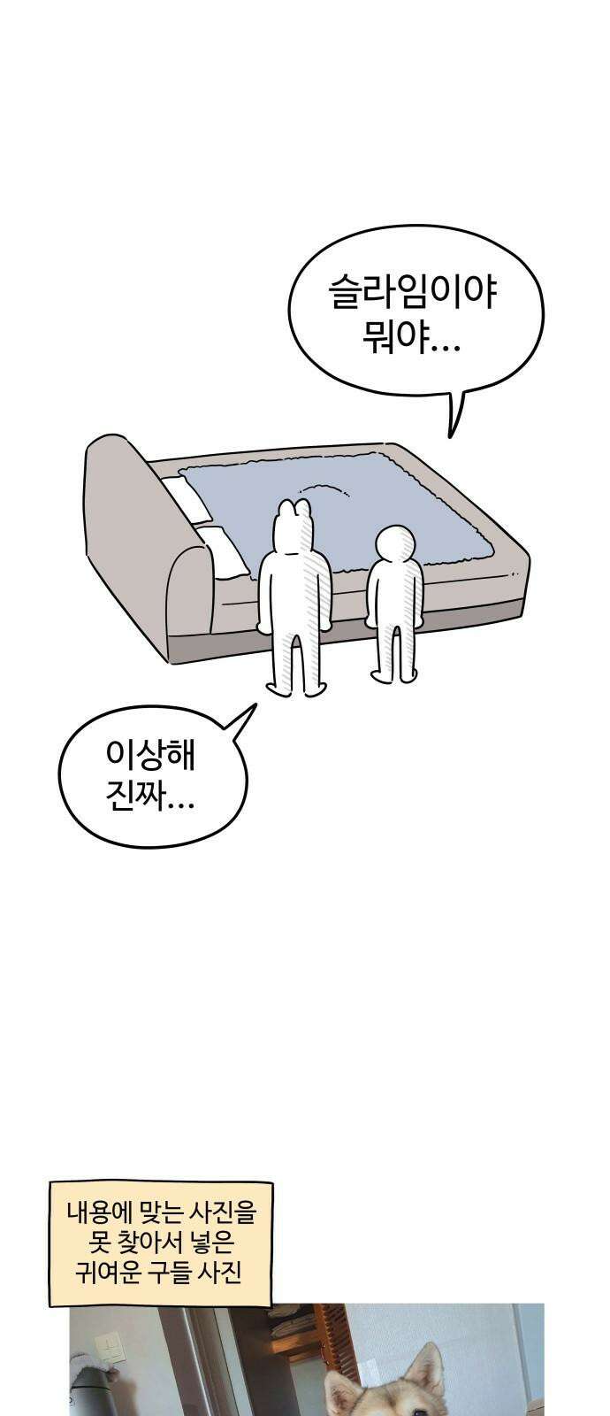 노곤하개 쇼츠 같은 행동 다른 반응 16