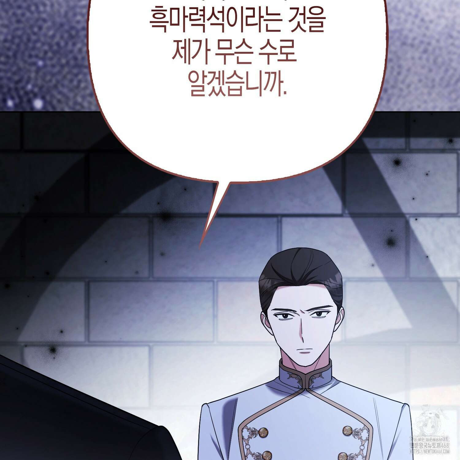 대공가의 여우 황녀님 71화 118