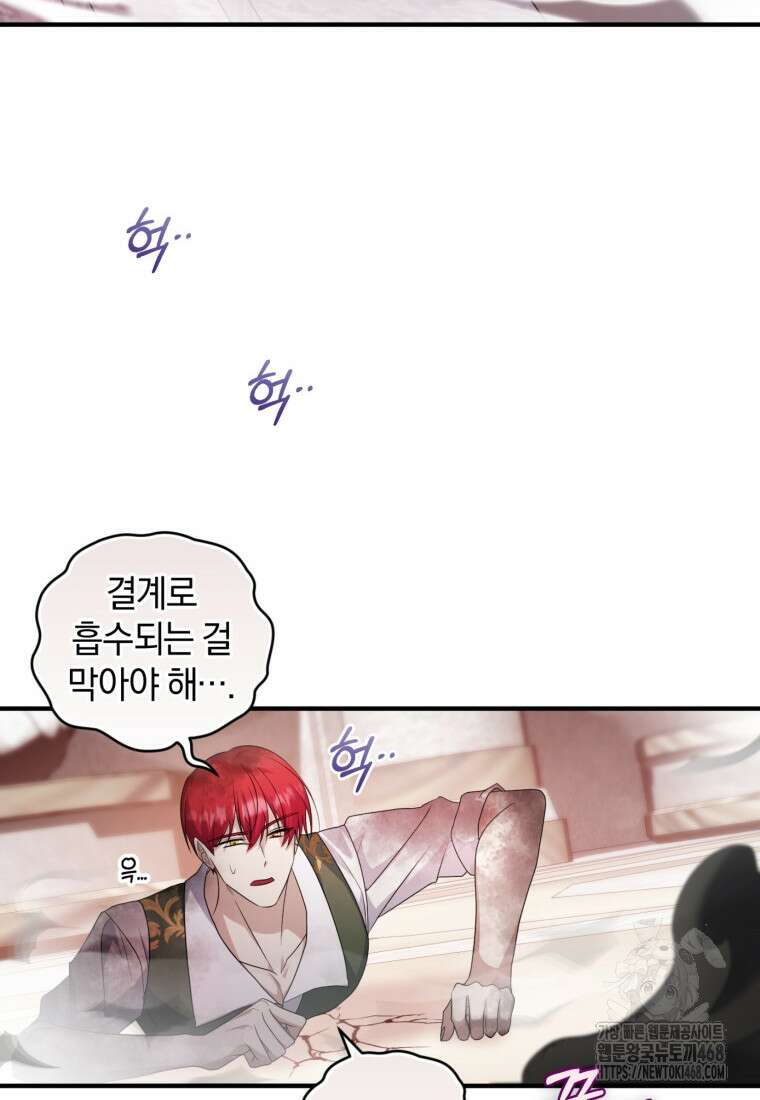 빼앗긴 가문의 주인이 되려 합니다 91화 87