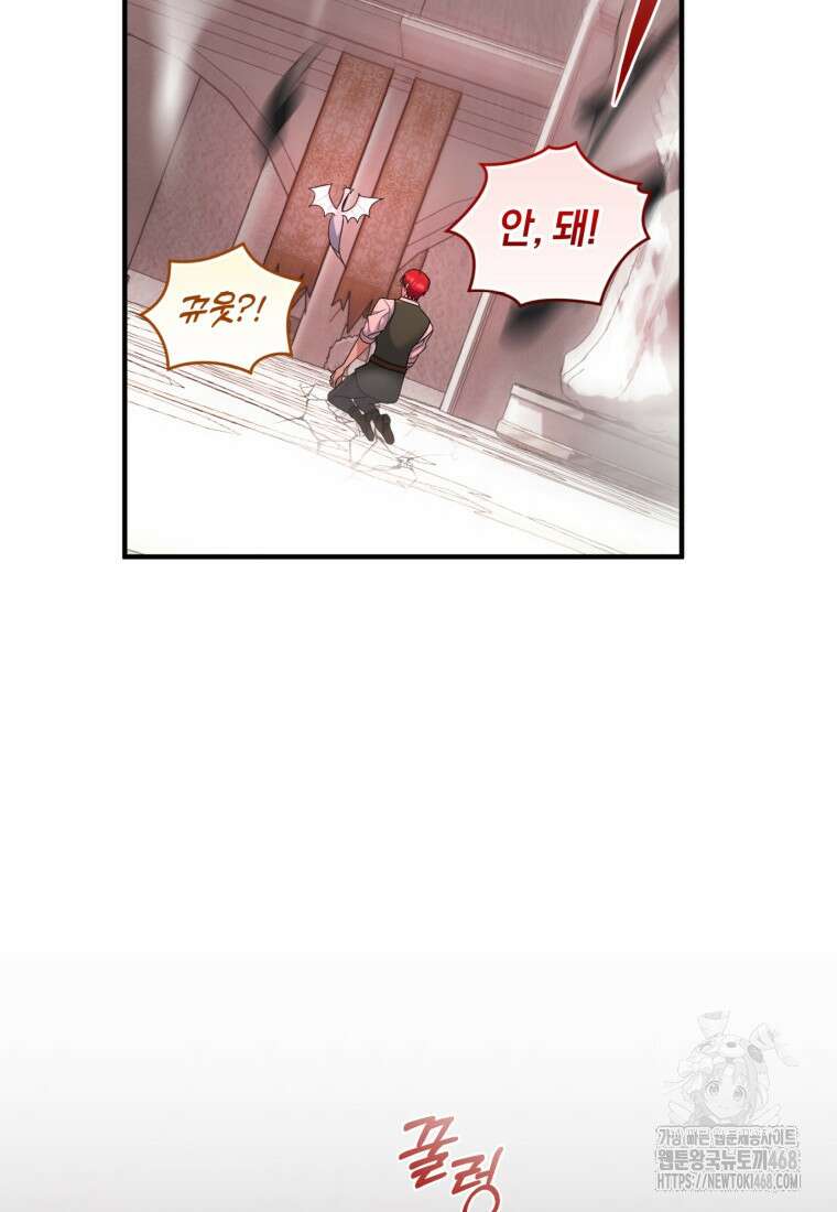 빼앗긴 가문의 주인이 되려 합니다 91화 89