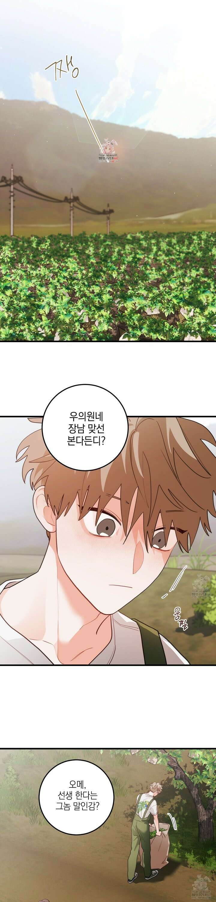 배꽃 피는 사랑 77화 1