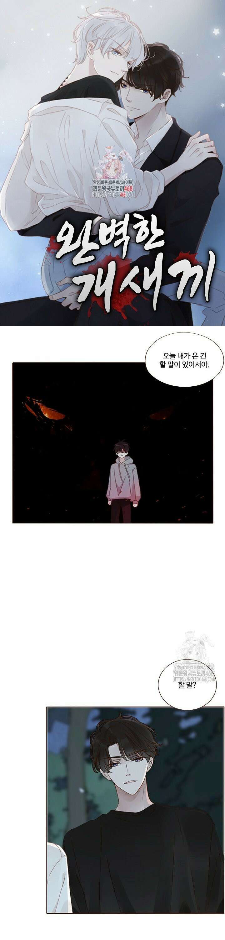 완벽한 개새끼 81화 1
