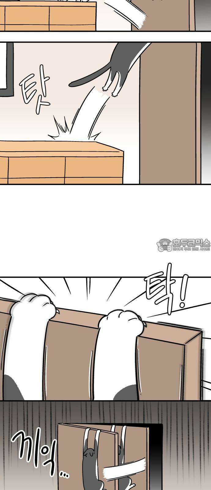노곤하개 쇼츠 문 위에 올라가는 방법 3