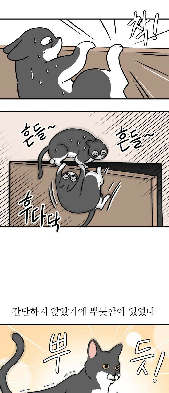 노곤하개 쇼츠 문 위에 올라가는 방법 5