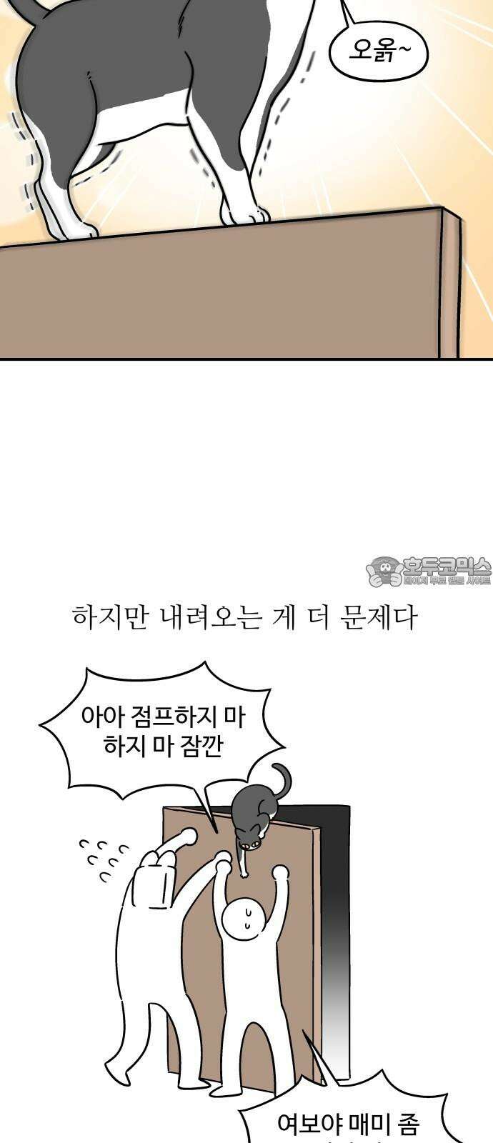 노곤하개 쇼츠 문 위에 올라가는 방법 6