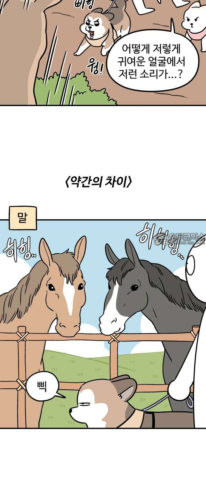 노곤하개 쇼츠 문 위에 올라가는 방법 12