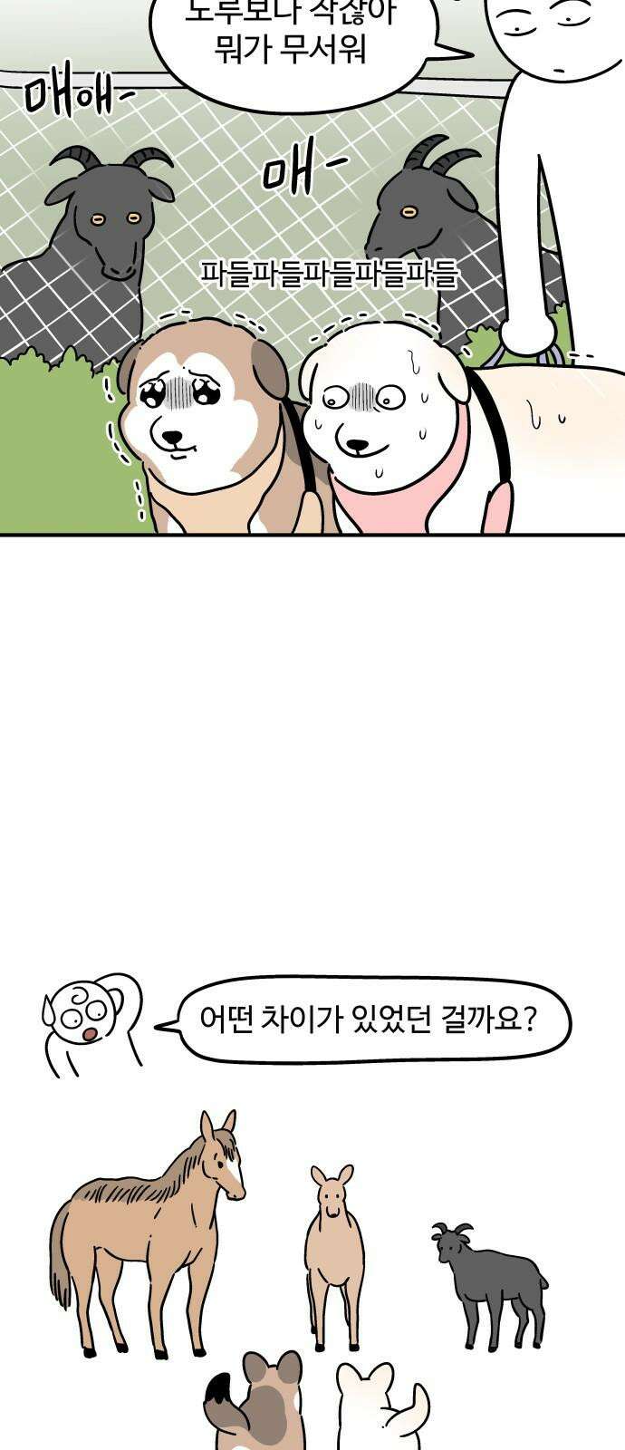 노곤하개 쇼츠 문 위에 올라가는 방법 14