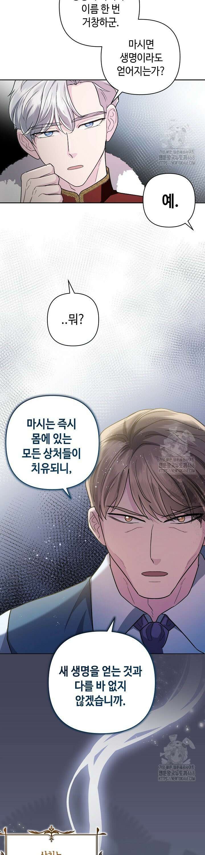 몰락한 왕녀에게는 회귀가 필요합니다 7화 17