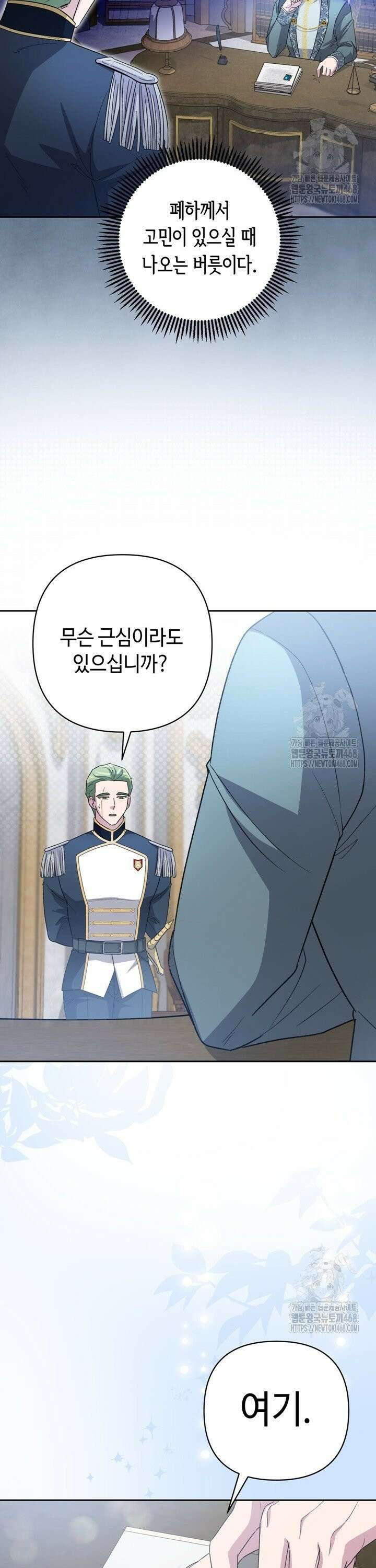 몰락한 왕녀에게는 회귀가 필요합니다 17화 2