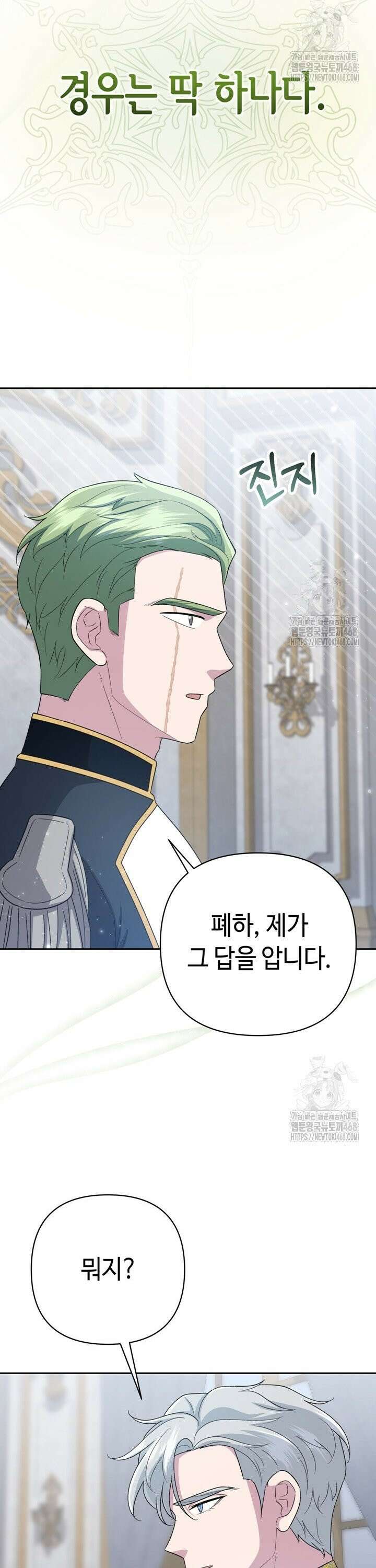 몰락한 왕녀에게는 회귀가 필요합니다 17화 8
