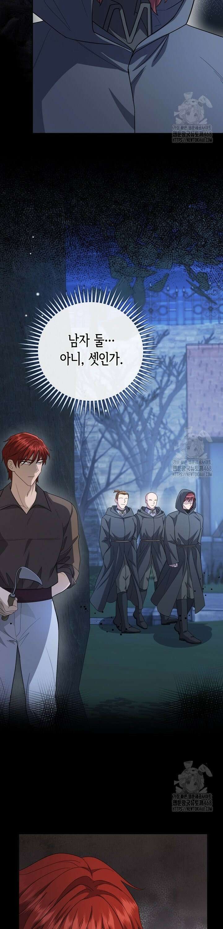 몰락한 왕녀에게는 회귀가 필요합니다 27화 3